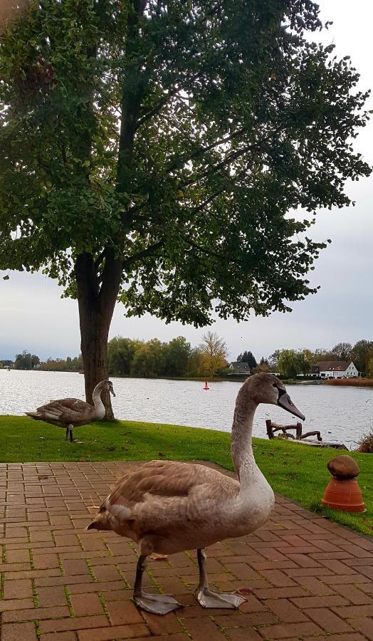 Ferienanlage Pritzerbe Zewnętrze zdjęcie